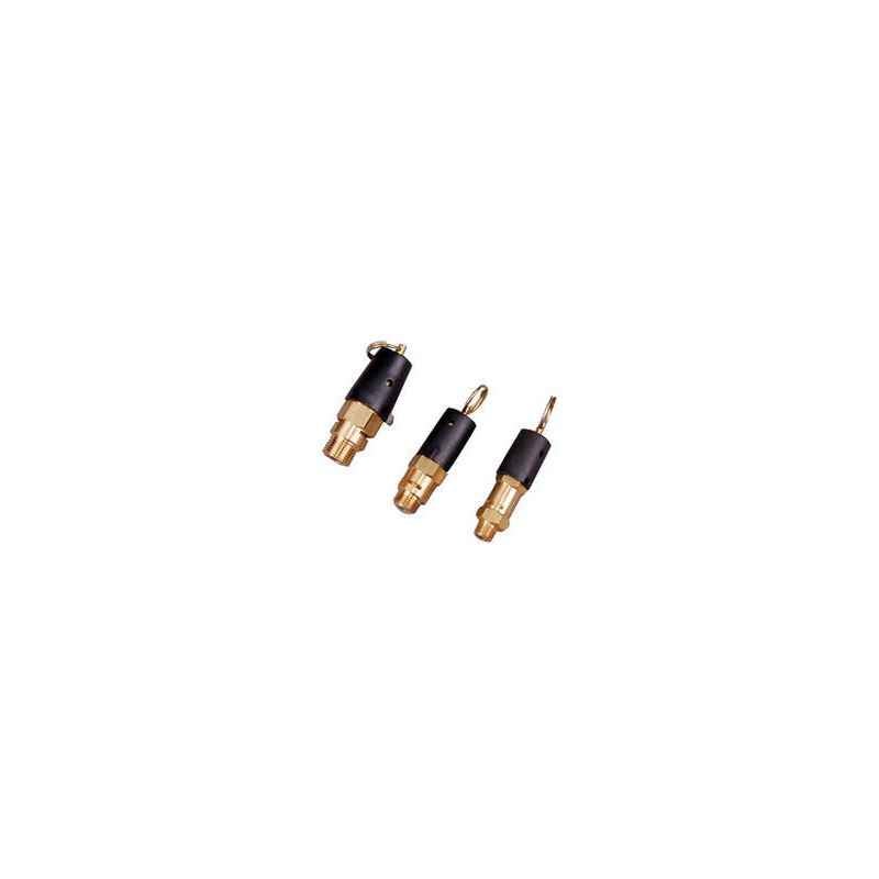 ELGI Safety Valve Assembly, A020001