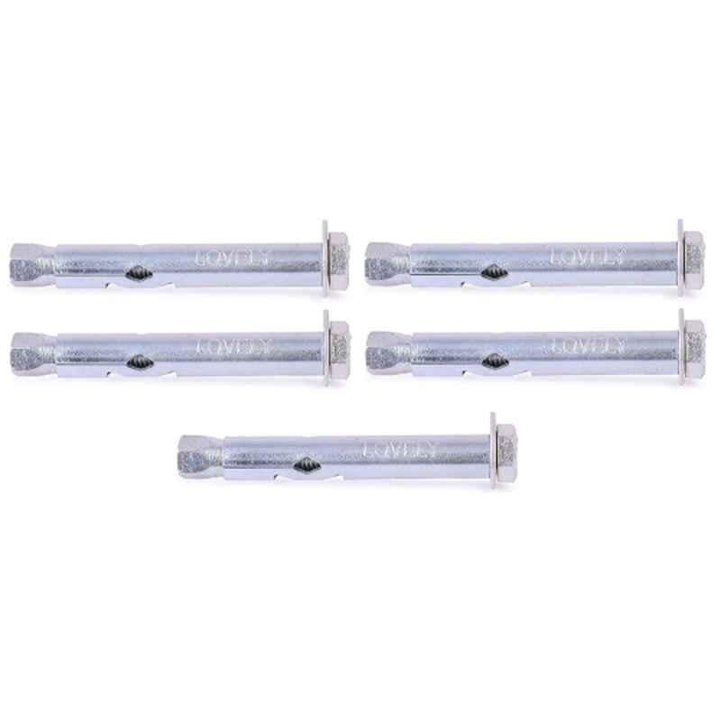 Lovely 10x100mm Wedge Expansion Fastener (Pack of 5)