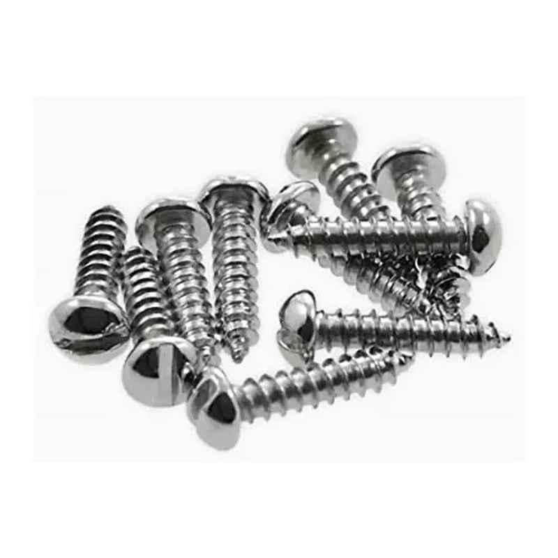 B K Jagan & Co 10x19mm Steel Screw Pan Head Self Tapping Screw (Pack of 300)