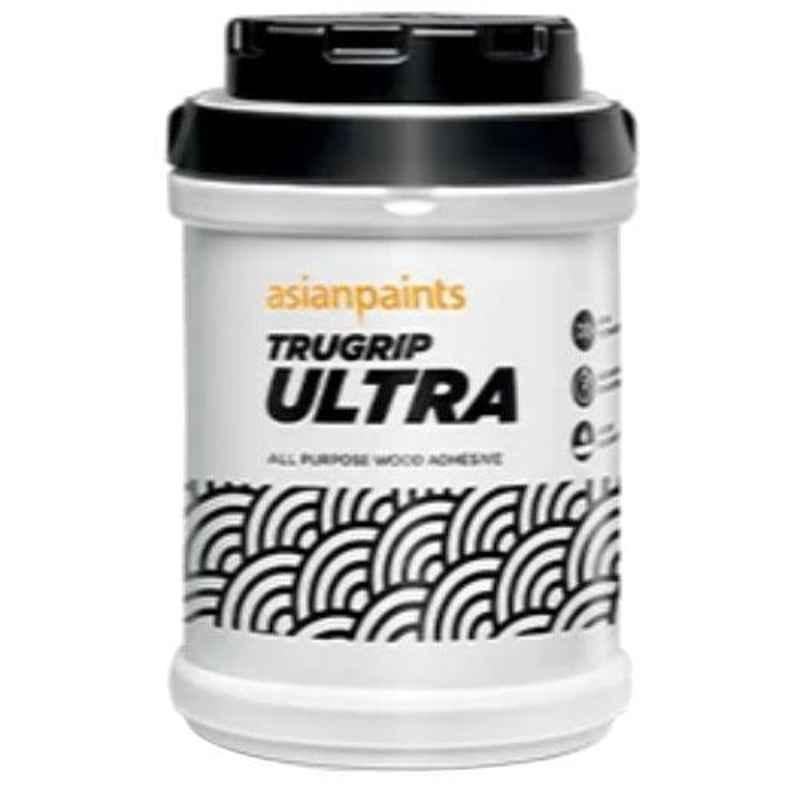 Asian Paints Trugrip Ultra 250g All Purpose Wood Adhesive
