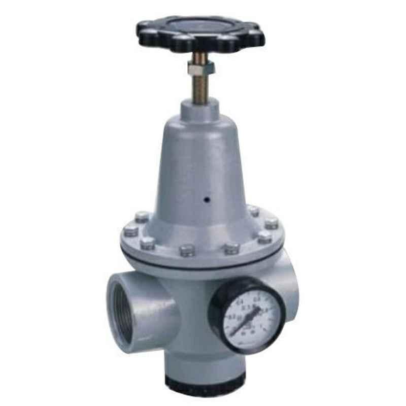 Aeroflex 1/2 inch Air Regulator with Gauge, TY-15