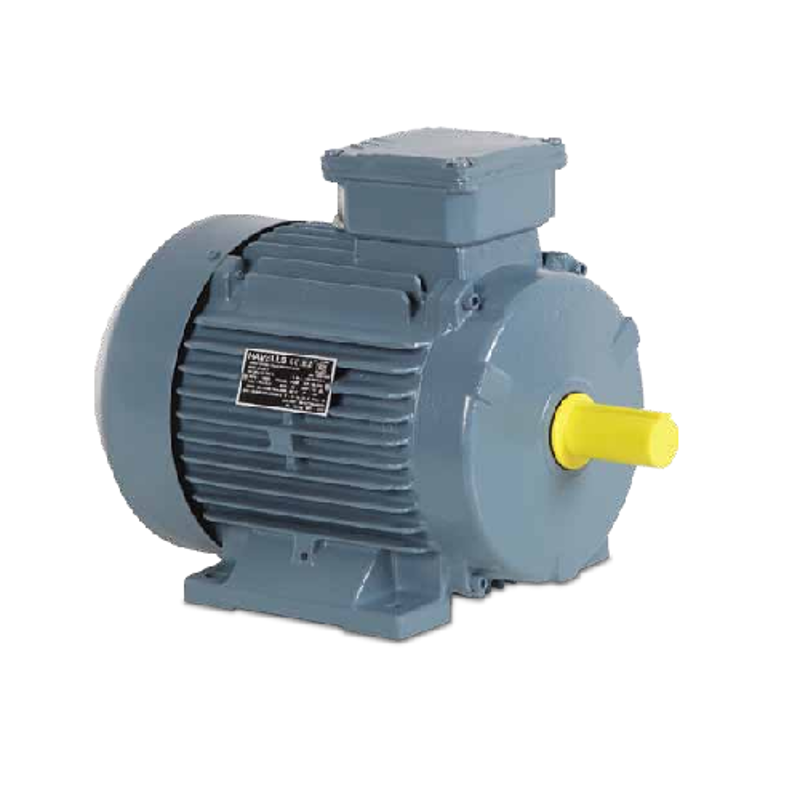 Havells 3HP Three Phase Four Pole Squirrel Cage Foot Mounted Induction Motor, MHCITGS402X2