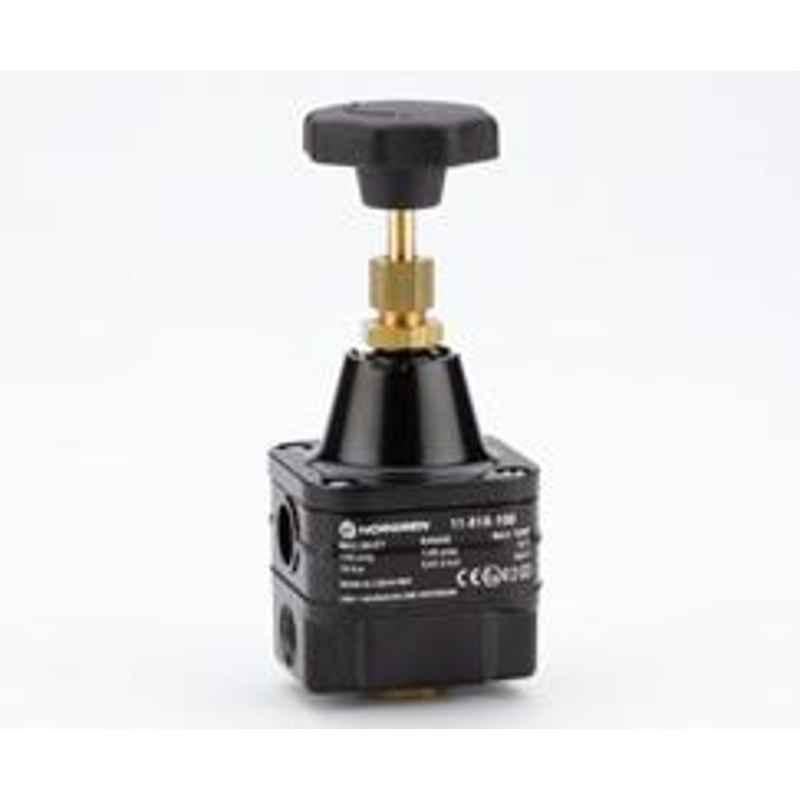 Norgren G 1/4 Precision Pressure Regulator, 11-818-999