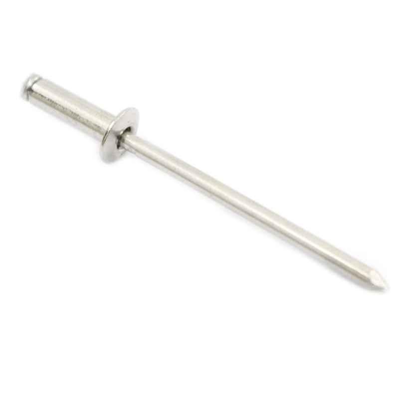 RKGD 100 Pcs 3.2x20mm Stainless Steel Blind Rivets Set