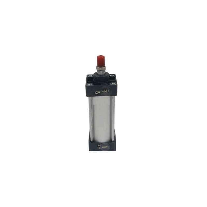 JELPC Non Magnetic Type Double Acting Cylinder, Bore: 100 mm, Stroke: 25 mm