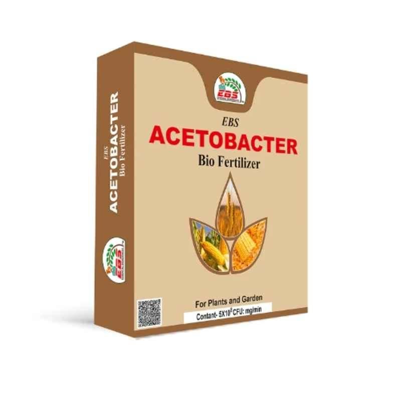 EBS 1kg Acetobacter Bio Fertilizer Powder for Plants, Crops, Home Garden & Nursery (Pack of 3)