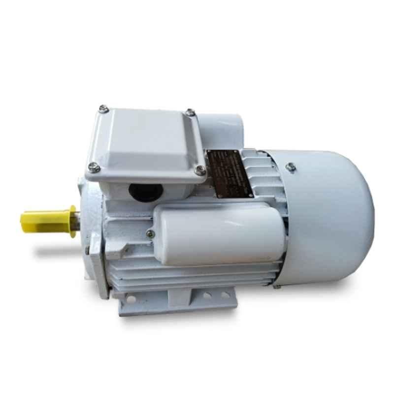 Really YC90 3HP 220V Single Phase Electric Motor for Chaff Cutter, MTAK-EL-MO-3019