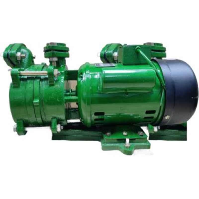 Koel 1HP Single Phase Monoblock Centrifugal Pump, MB1.2525.01.10.HD