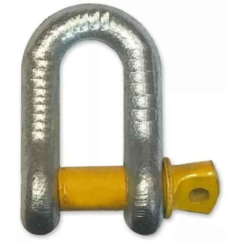Safelift 25 Ton Alloy Steel G80 D Shackle Screw Pin, DSSL0825