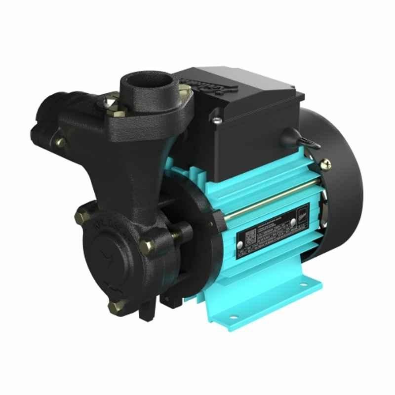 Kirloskar RIAN-I 1HP Cast Iron Single Phase Centrifugal Pump