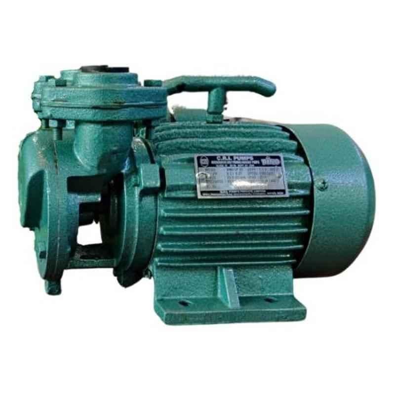 CRI Dino SP50 0.5HP V-Type Single Phase Self Priming Monoset Pump