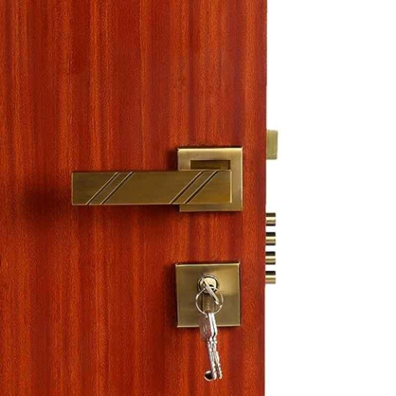 Homexpert Rose Altis 60mm Stainless Steel Antique Brass Finish Both Side Key Mortise Door Lock Set