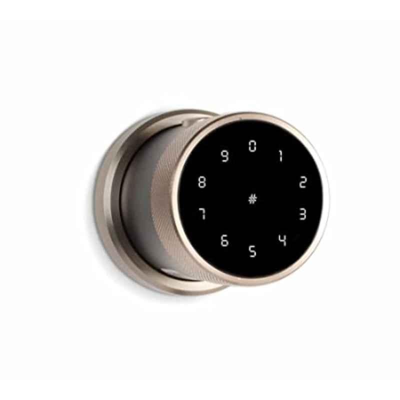 Ozone OZ-FDL-11 Life Gold Smart Lock with Google Assistant & Alexa Enabled