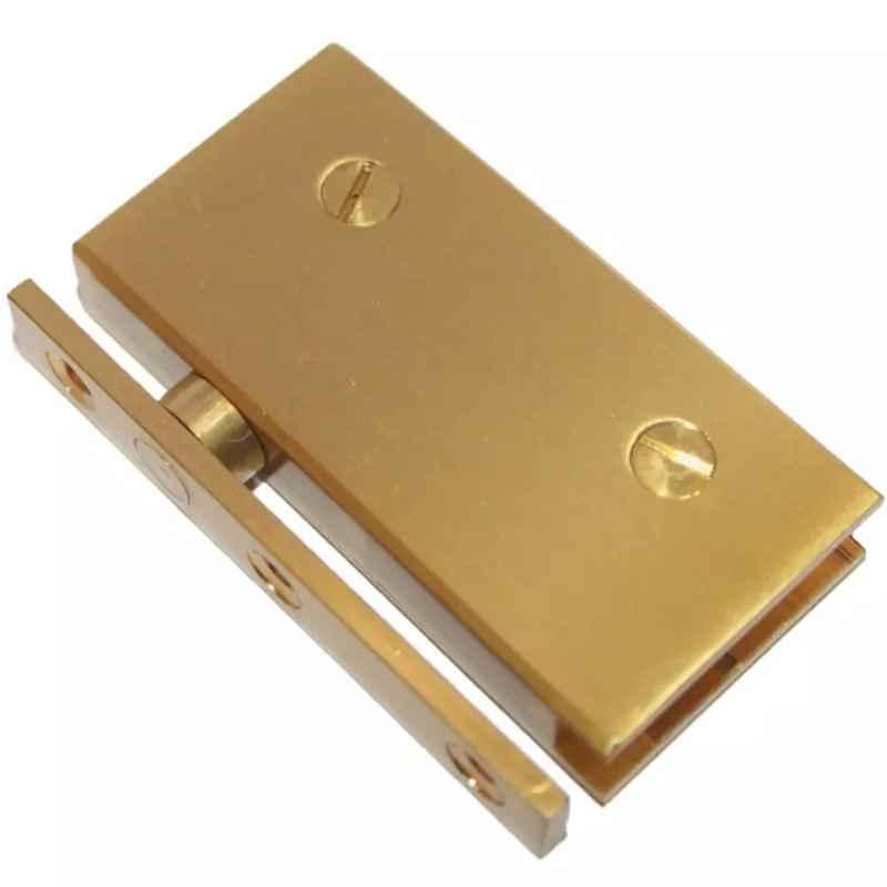 RiseOm 2 Pcs 2.5x1.5 inch Brushed Brass Glass Door Pivot Hinge Set, J0-2QQ6-1292 (Pack of 2)