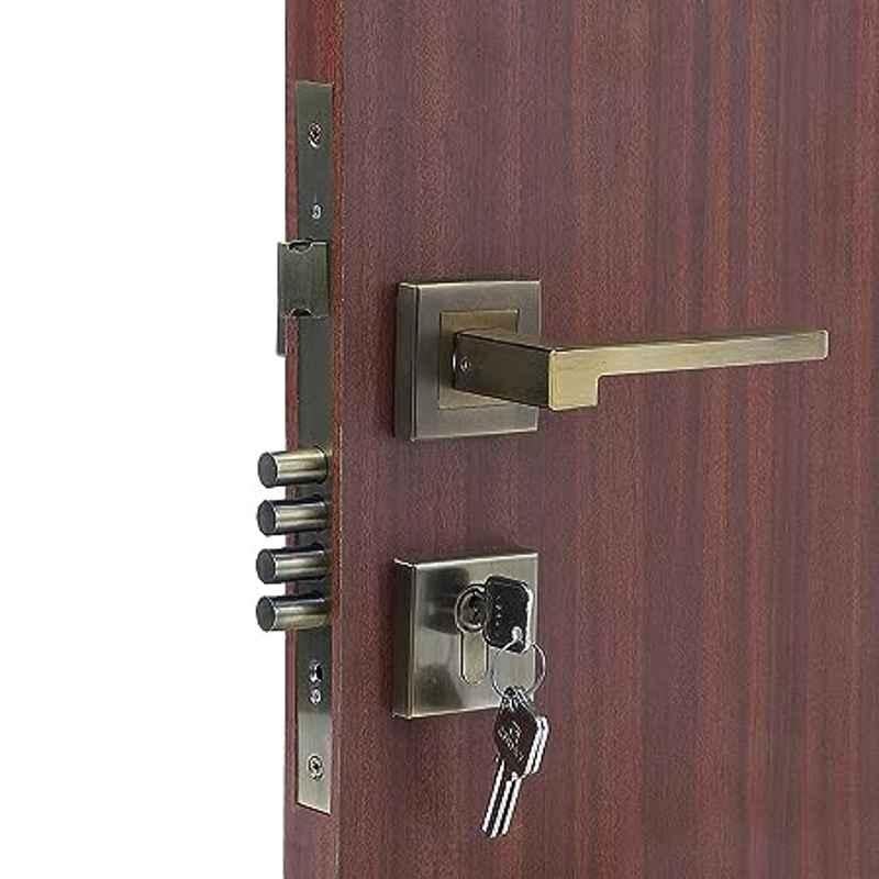 Homexpert Rose LB-306 Stainless Steel Antique Brass Finish Cylindrical Plate Both Side Key Mortise Door Lock Set
