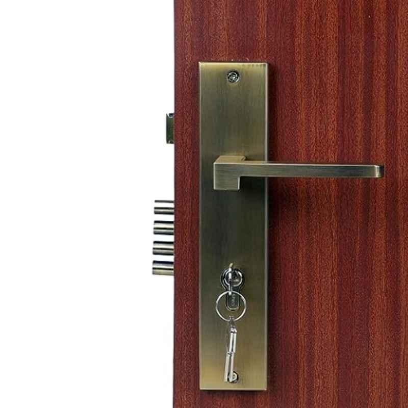 Homexpert LB306 10 inch 60mm Stainless Steel Antique Brass Finish Cylindrical Plate Both Side Key Mortise Door Lock Set