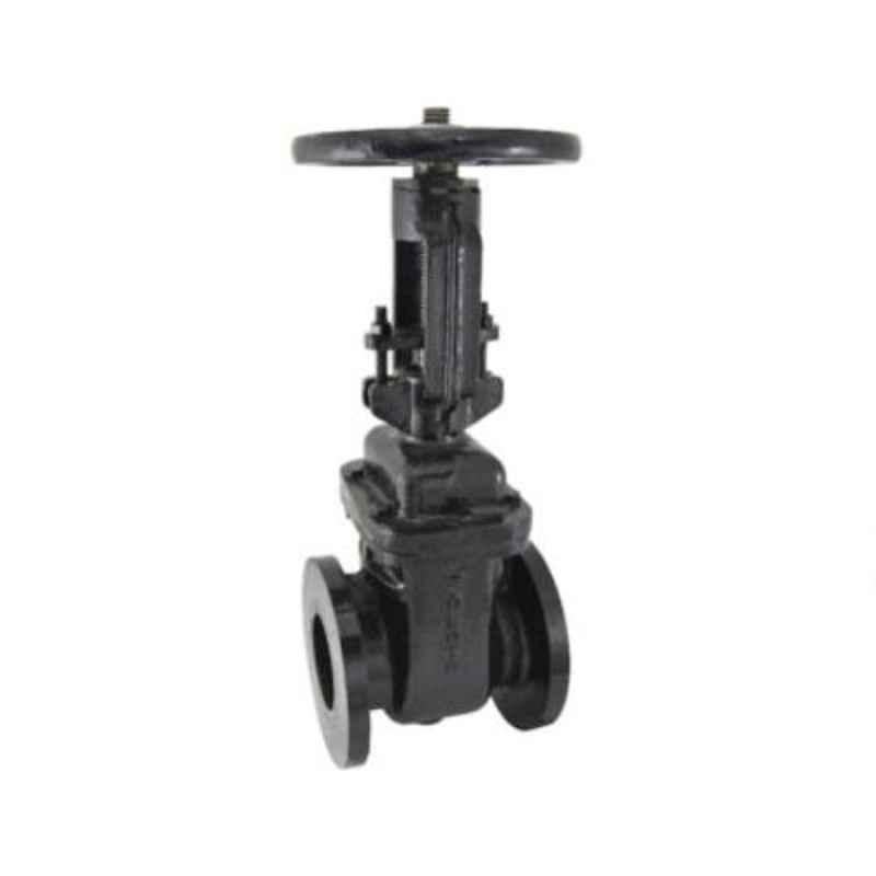 Zoloto 50mm Cast Iron PN 1.6 Flanged Sluice Valve with Rising Steam, 1079D