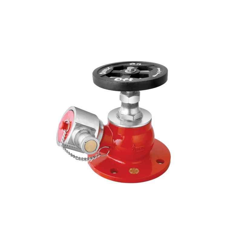 Palex Landing Valve SS Type