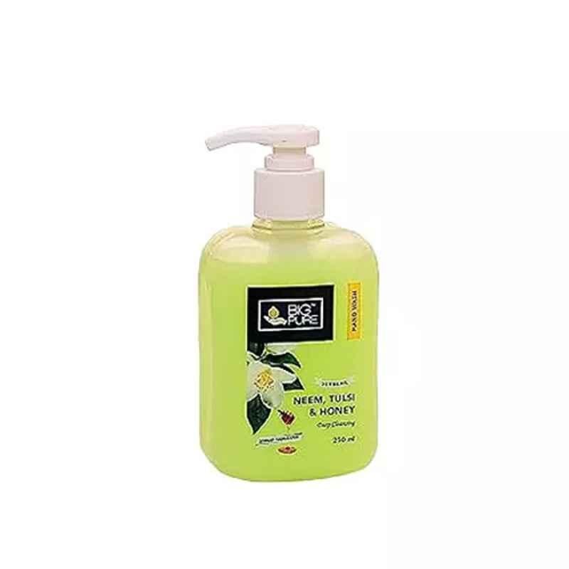 Big Pure 250ml Neem, Tulsi & Honey Pealised Type Liquid Hand Wash, HWPNT250