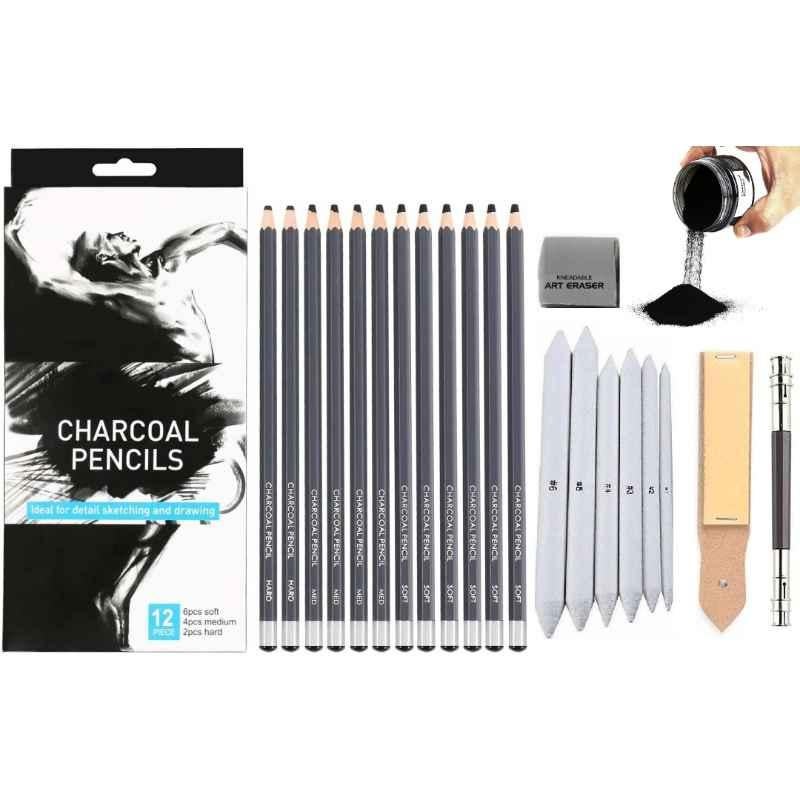 ChiggiWiggi 12 Pcs Charcoal Pencil Drawing Set, 6 Pcs Paper Stumps, 12 Pcs Sand Papers, 30g Black Charcoal Powder, Kneadable Eraser & Two Sided Pencil Extender Combo, C121