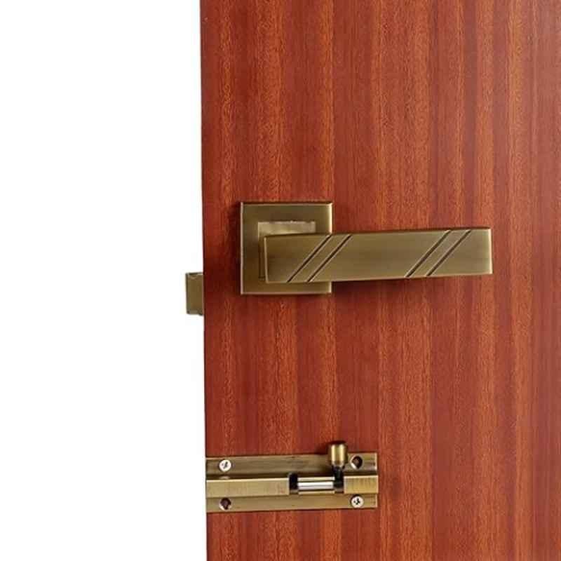 Homexpert Altis Stainless Steel Antique Brass Finish Heavy Duty Mortise Door Lock Set with Bolt