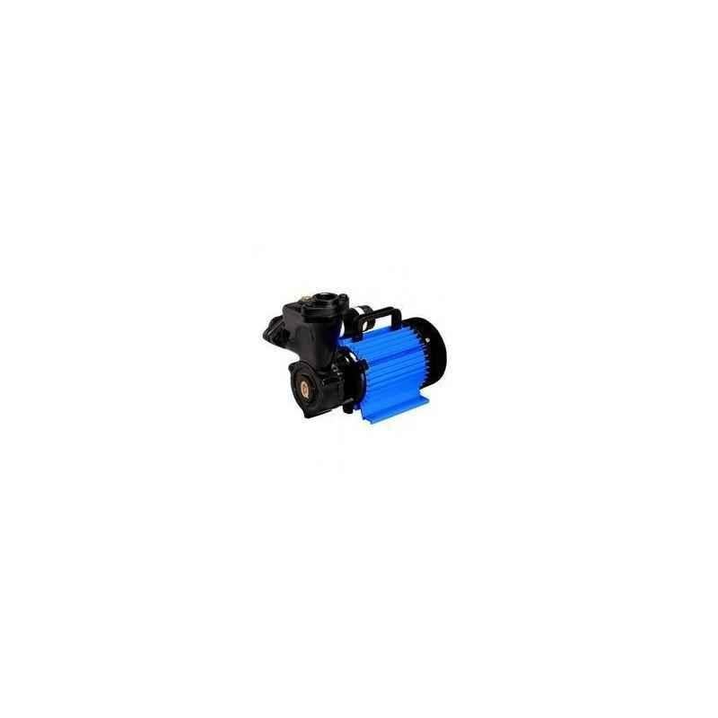 CRI 1 HP Domestic Water Pump, Royale100