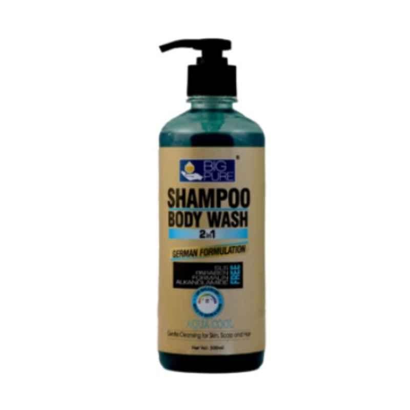 Big Pure 500ml Aqua Cool 2-in-1 Shampoo Cum Shower Gel