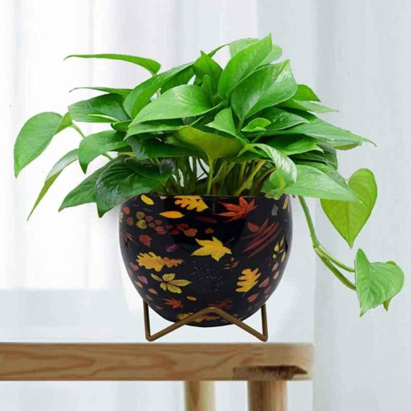 Cinagro Leaf Printed Black Planter with Iron Golden Stand Set, CIN-PLT-BLG-P1