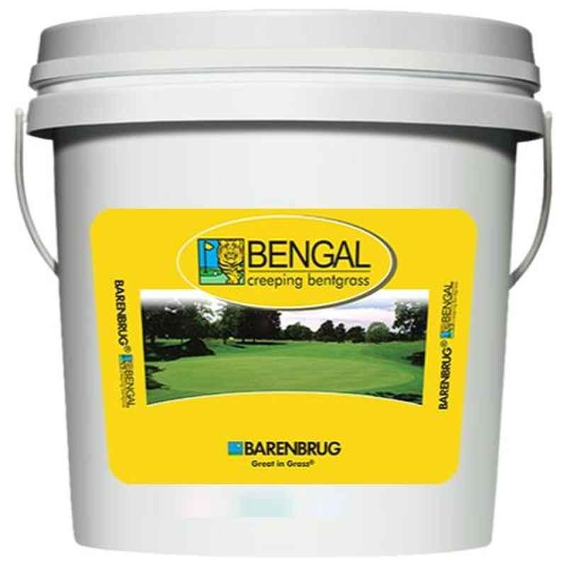 Agricare Barenbrug Bengal 5lb Creeping Bentgrass Bucket