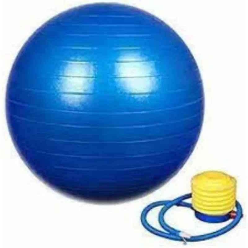 FAW 100kg Blue Gym Ball with Pump, FAWGB