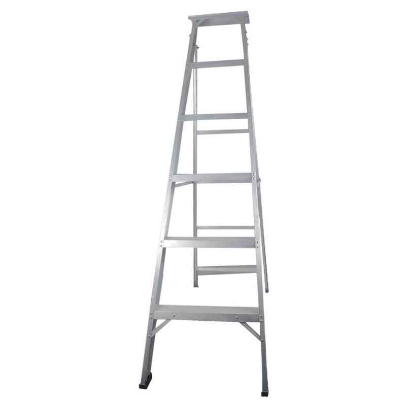 Brancley Silver Dual Purpose Ladder, BDPL-06