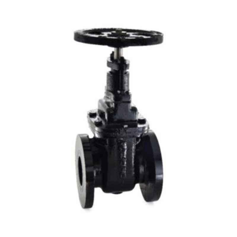 Zoloto 125mm Cast Iron PN 1 Flanged Sluice Valve, 1079A