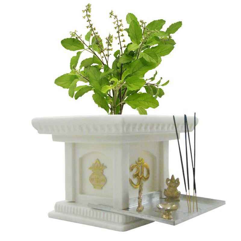 Yuccabe Italia 11 Inch Cream White Tulsi Planter