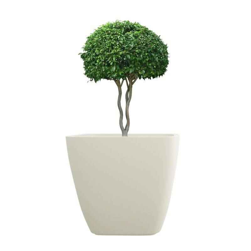 Yuccabe Italia 12 Inch Cream White ASA Planter