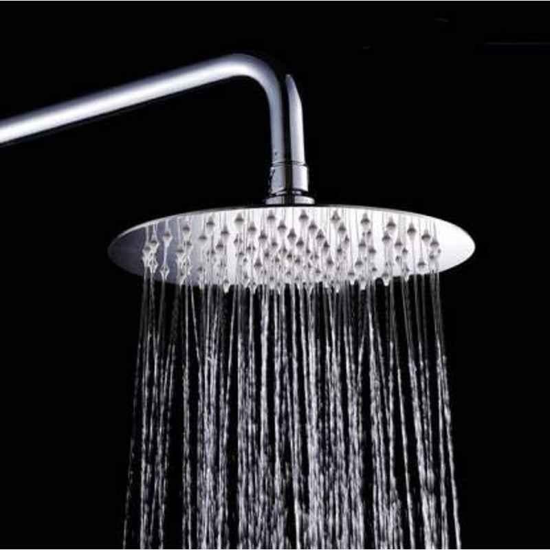 Logger 8 inch Stainless Steel Round Shower Head with 15 inch Arm, L5002008L50120081B
