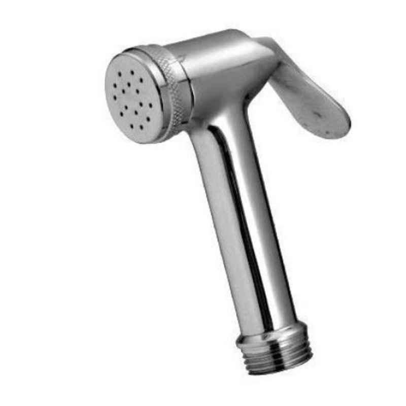 Logger Brass Silver Hand Health Faucet Head