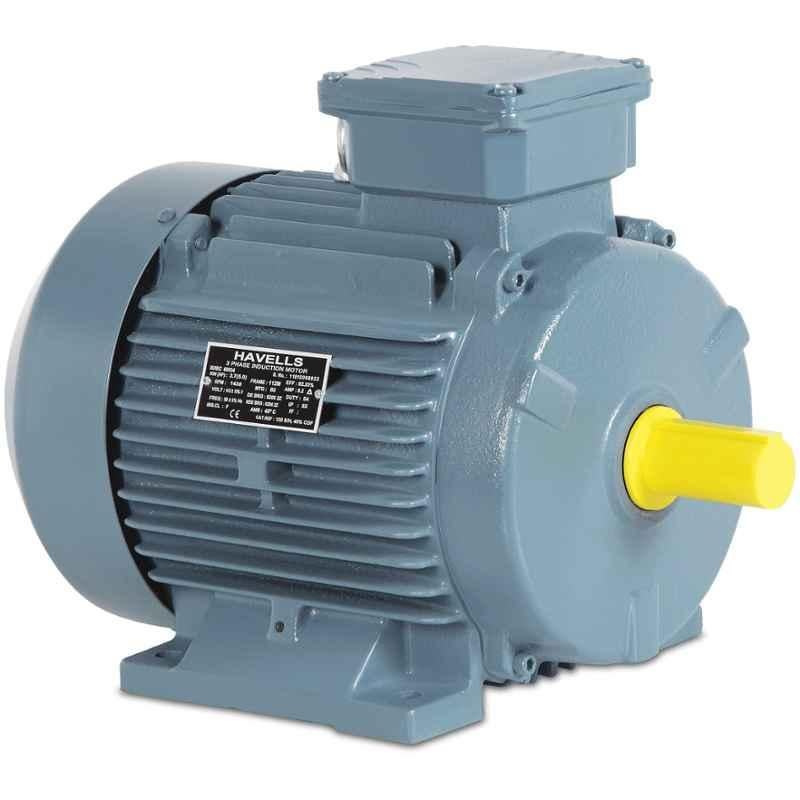 Havells 7.5HP Three Phase Squirrel Cage Foot Mounted Crane Duty Induction Motor, MHKITHS405X5