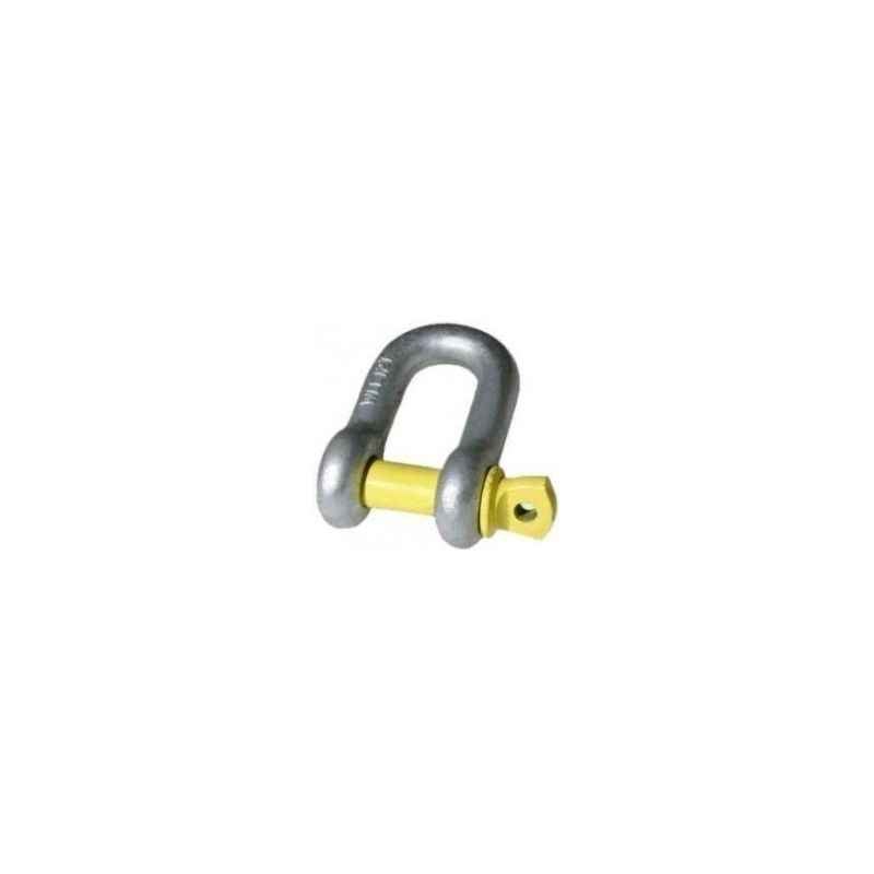 Wellworth 12 Ton D-Shackle Screw Pin