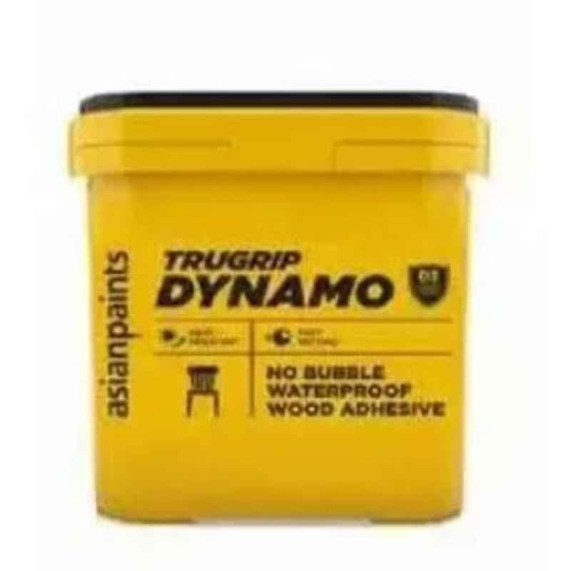 Asian Paints 2kg Clear Trugrip Dynamo Adhesive, 9467