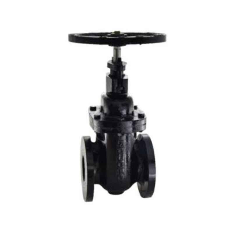 Zoloto 250mm Cast Iron PN 1.6 Flanged Sluice Valve, 1079B