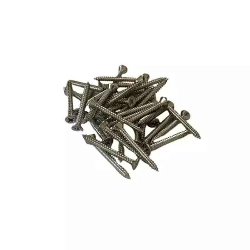 B K Jagan & Co 38mm Hardened Self Tapping Steel Screws
