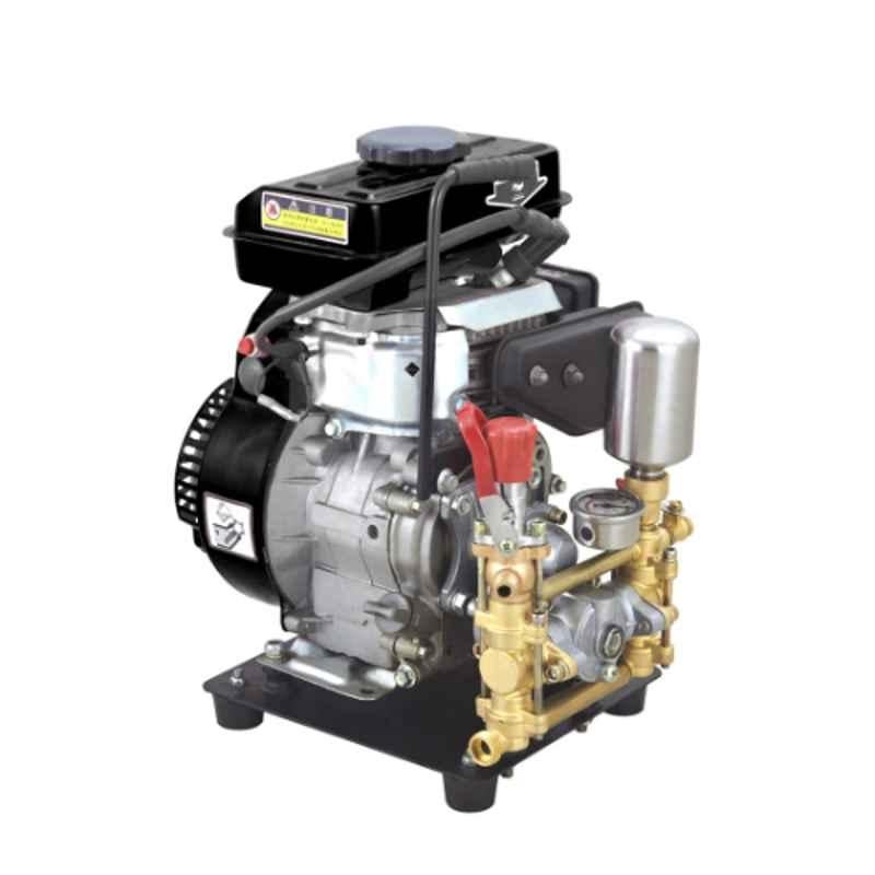 Really RAPL-PS-152-22 2.5HP 4 Strokes Direct Mounted HTP Sprayer Set, MTAK-EN-SP-2196