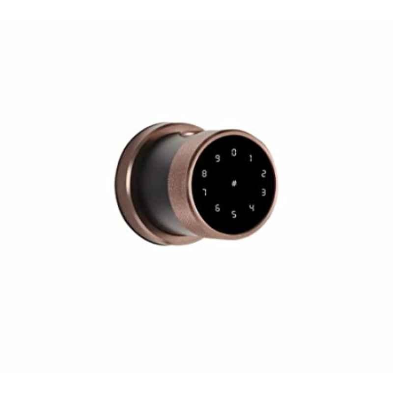 Ozone OZ-FDL-11-Life-Bronze Smart Lock with Google Assistant & Alexa Enabled