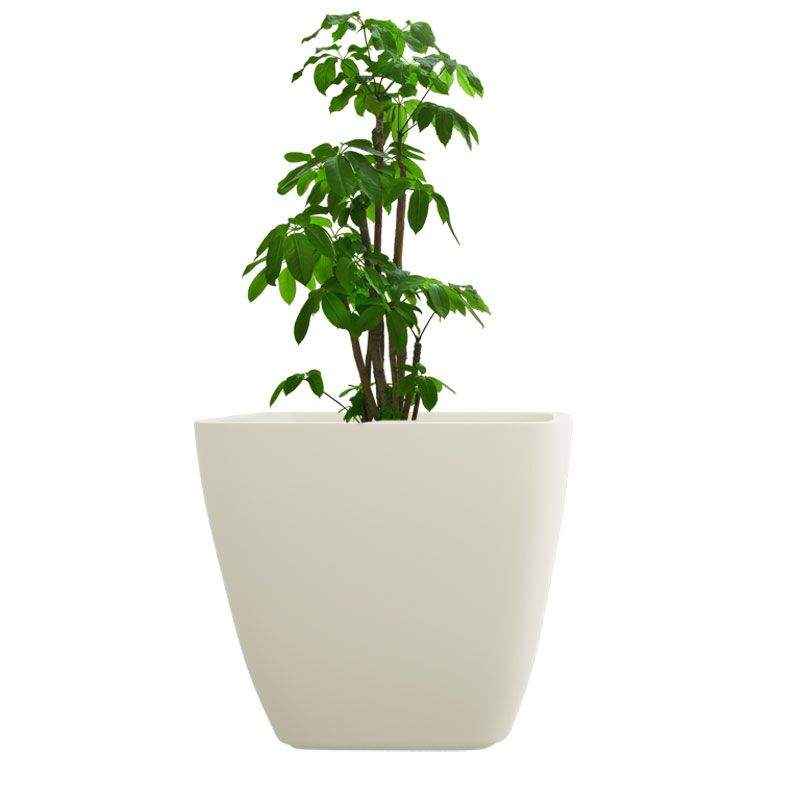 Yuccabe Italia 14 Inch Cream White ASA Planter