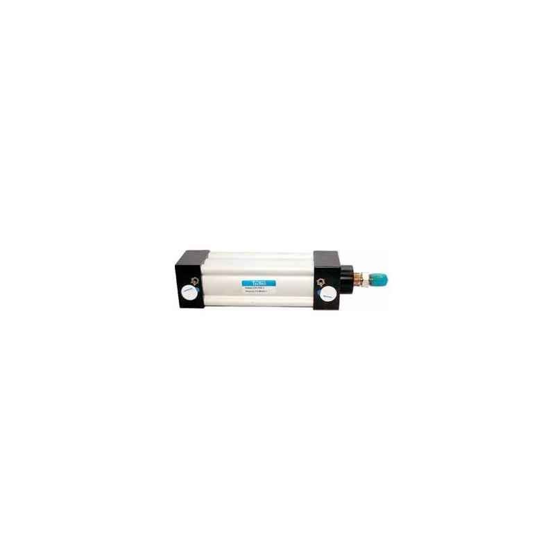 Techno 100x300mm SU Magnetic Double Acting Cylinder
