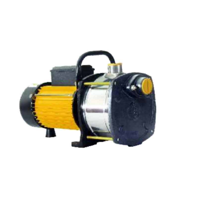 Crompton Greaves 1HP 25x25mm Shallow Well Pump, CGDSW100C