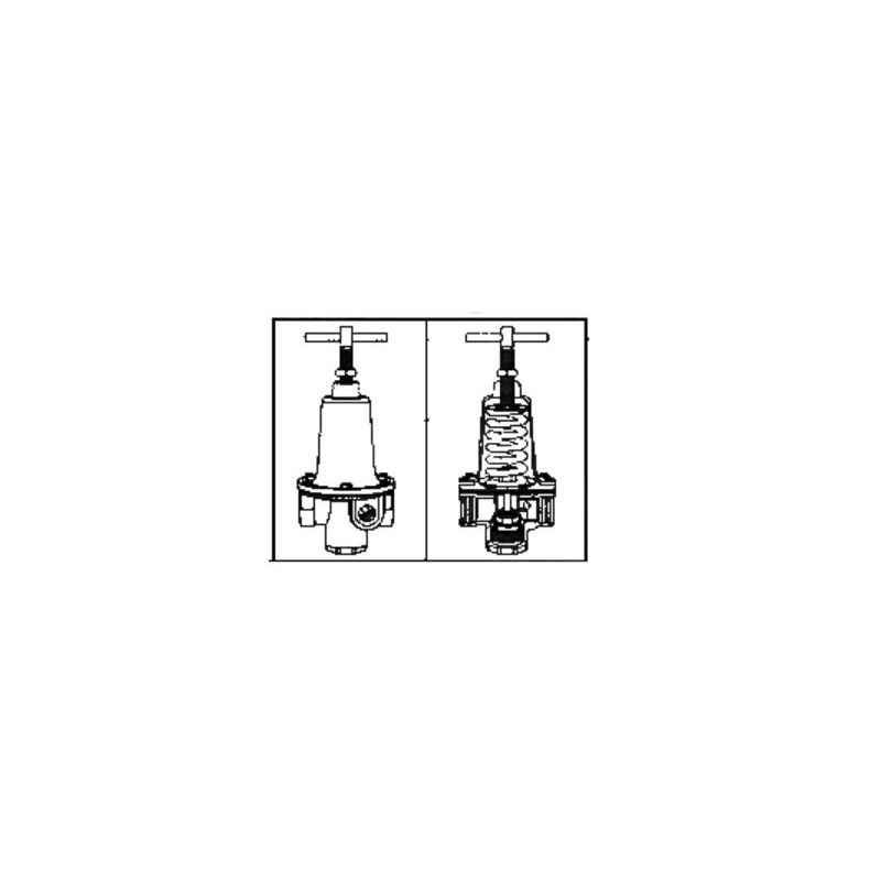 Air Champ 022 Regulator, Pipe Size: 1/4 BSP