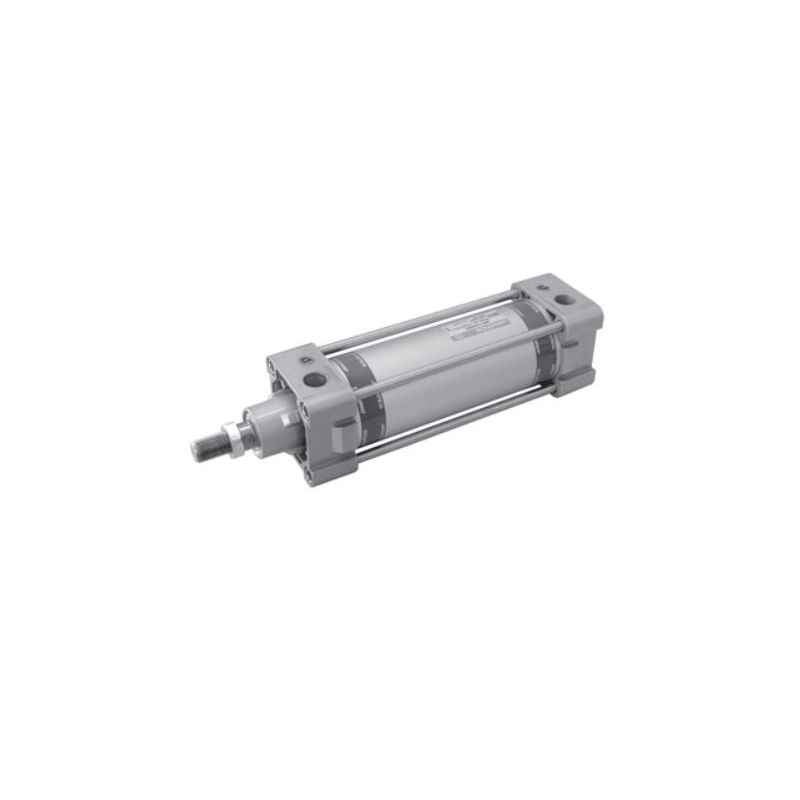 Janatics 100x300 mm Basic Double Acting Cylinder, A28100300O
