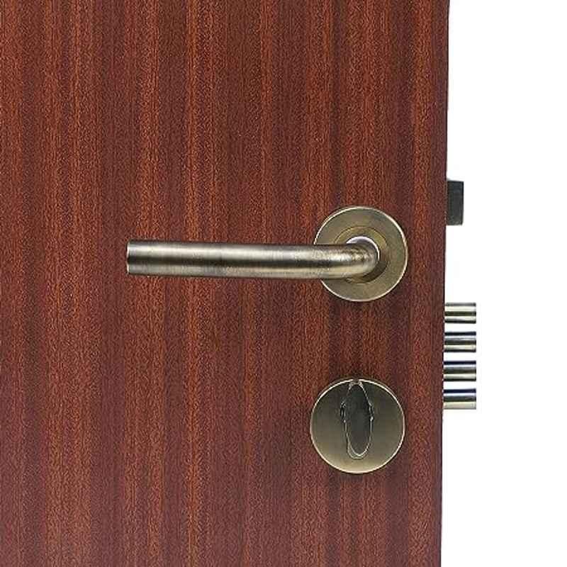 Homexpert Rose LB-1106 Stainless Steel Antique Brass Finish Cylindrical Plate One Side Key Mortise Door Lock Set