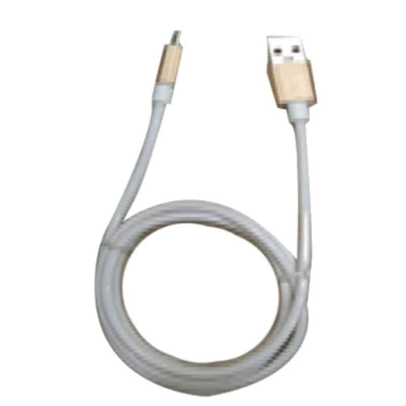 OEM D2 2.4A PVC Type C USB Cable (Pack of 10)
